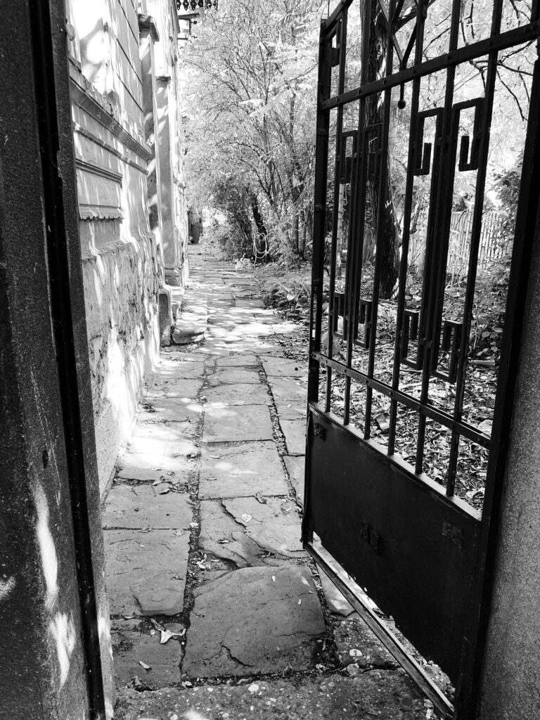 image00009